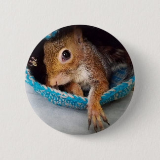 Tumbleweed in his nest 6 cm round badge