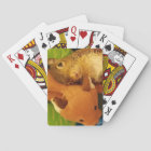 Tumbleweed & Mr. Fox Playing Cards