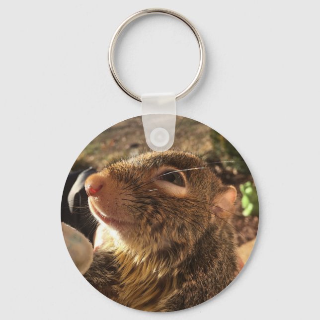 Tumbleweed smiling key ring (Front)