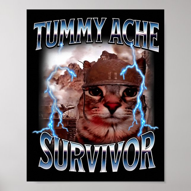 Tummy ache survivor funny cat meme survived today' poster (Front)