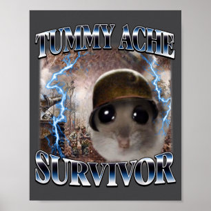 Tummy Ache Survivor Hamster Meme Funny Saying Hams Poster