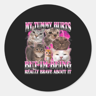 Tummy hurts funny brainrot stupid dank cat meme classic round sticker