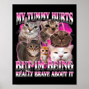Tummy hurts funny brainrot stupid dank cat meme poster