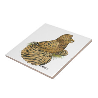 Tumpeter Pigeon Almond Tile