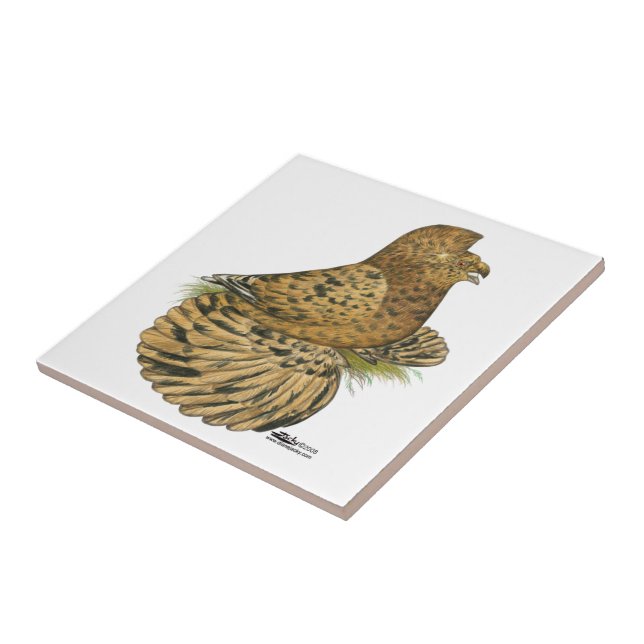 Tumpeter Pigeon Almond Tile (Side)