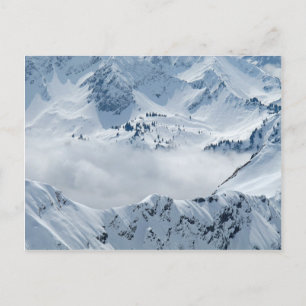 Tundra Postcard