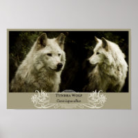 Tundra Wolf 11x17 Poster