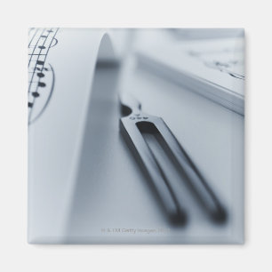 Tuning Fork Magnet