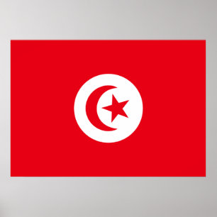 Tunisia Flag Poster