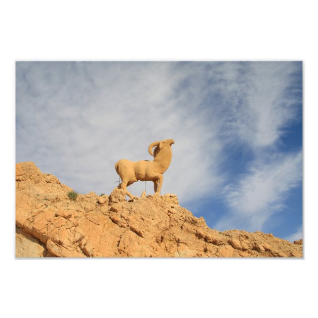 Tunisia goat statue photo print (Front)