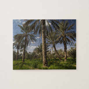 Tunisia, Ksour Area, Ksar Ghilane, date palm Jigsaw Puzzle