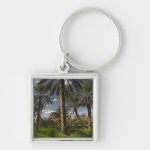 Tunisia, Ksour Area, Ksar Ghilane, date palm Key Ring