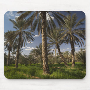 Tunisia, Ksour Area, Ksar Ghilane, date palm Mouse Pad