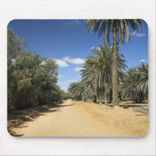 Tunisia, Ksour Area, Ksar Ghilane, date palm Mouse Pad