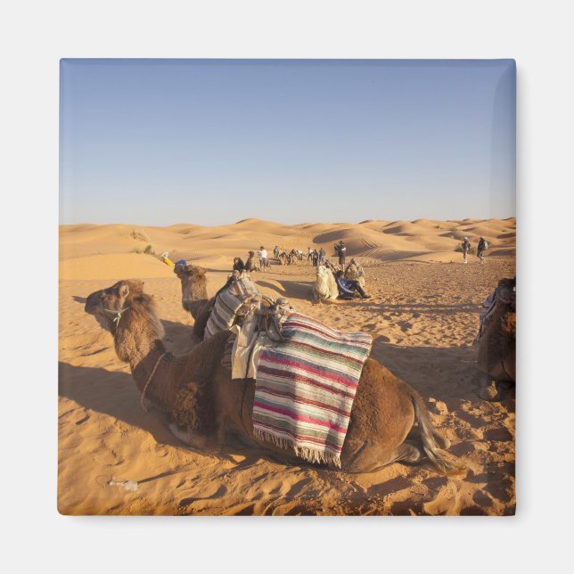 Tunisia, Ksour Area, Ksar Ghilane, Grand Erg 3 Magnet (Front)