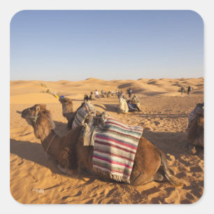 Tunisia, Ksour Area, Ksar Ghilane, Grand Erg 3 Square Sticker