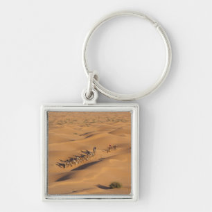 Tunisia, Ksour Area, Ksar Ghilane, Grand Erg 4 Key Ring