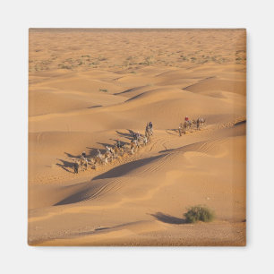 Tunisia, Ksour Area, Ksar Ghilane, Grand Erg 4 Magnet