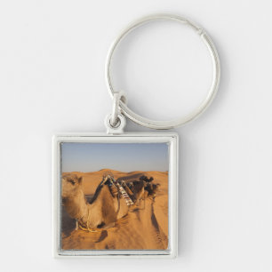 Tunisia, Ksour Area, Ksar Ghilane, Grand Erg 5 Key Ring