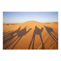 Tunisia, Ksour Area, Ksar Ghilane, Grand Erg 5