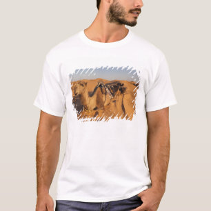 Tunisia, Ksour Area, Ksar Ghilane, Grand Erg 5 T-Shirt