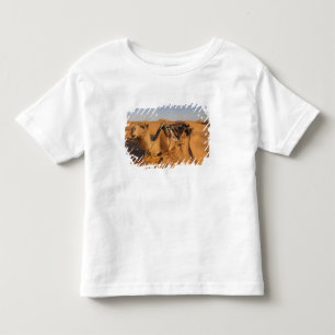 Tunisia, Ksour Area, Ksar Ghilane, Grand Erg 5 Toddler T-Shirt