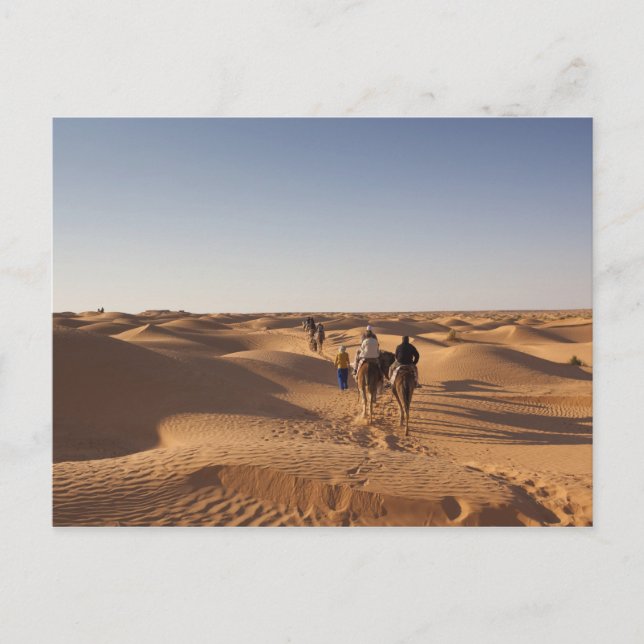 Tunisia, Ksour Area, Ksar Ghilane, Grand Erg 7 Postcard (Front)