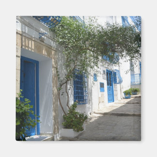 Tunisia Magnet