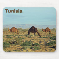 Tunisia