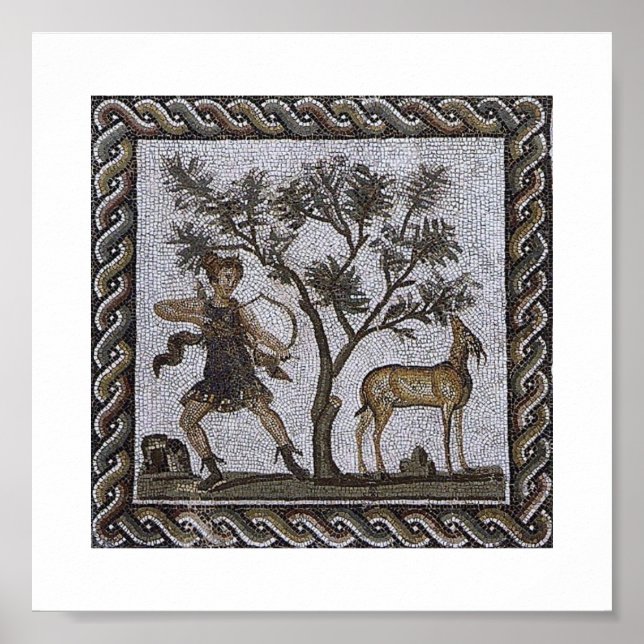 Tunisia Roman Mosaics Poster (Front)