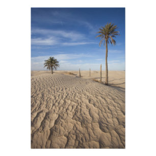 Tunisia, Sahara Desert, Douz, Great Dune, dawn Photo Print