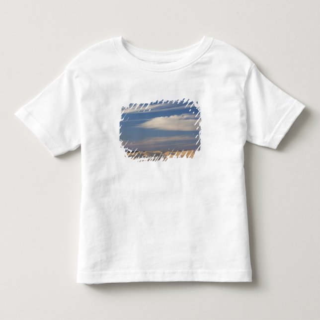 Tunisia, Sahara Desert, Douz, Great Dune, dusk 2 Toddler T-Shirt (Front)