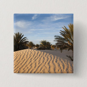 Tunisia, Sahara Desert, Douz, Great Dune, palm 2 15 Cm Square Badge