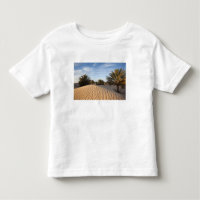Tunisia, Sahara Desert, Douz, Great Dune, palm 2