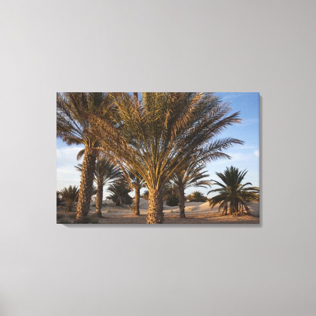 Tunisia, Sahara Desert, Douz, Great Dune, palm Canvas Print (Front)