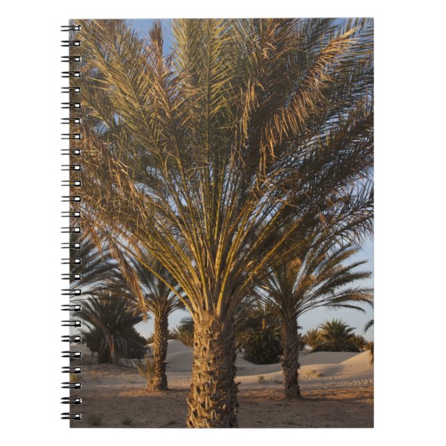 Tunisia, Sahara Desert, Douz, Great Dune, palm Spiral Notebook (Front)