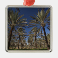 Tunisia, Sahara Desert, Douz, Zone Touristique, 2