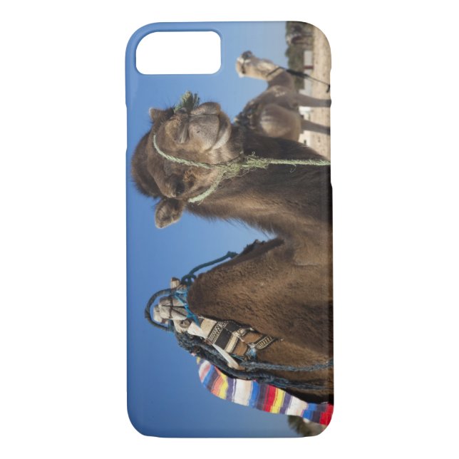 Tunisia, Sahara Desert, Douz, Zone Touristique, Case-Mate iPhone Case (Back)