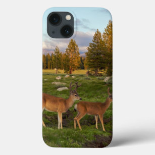 Tuolumne Meadow, Yosemite iPhone 13 Case