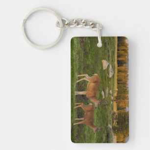 Tuolumne Meadow, Yosemite Key Ring