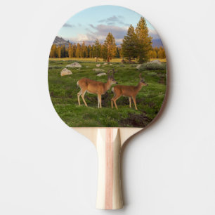 Tuolumne Meadow, Yosemite Ping Pong Paddle