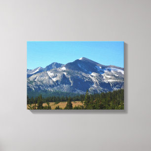 Tuolumne Meadows, Yosemite, CA Canvas Print