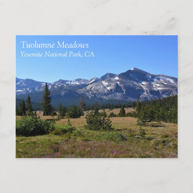 Tuolumne Meadows, Yosemite, CA Postcard (Front)