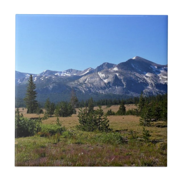 Tuolumne Meadows, Yosemite, CA Tile (Front)