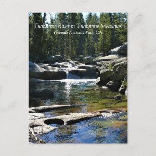 Tuolumne River in Tuolumne Meadows, Yosemite, CA P Postcard