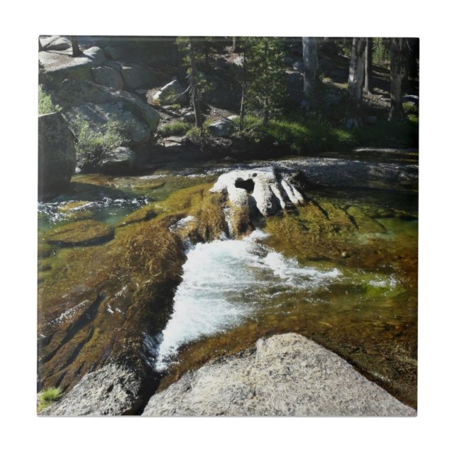 Tuolumne River in Tuolumne Meadows, Yosemite, CA Tile (Front)