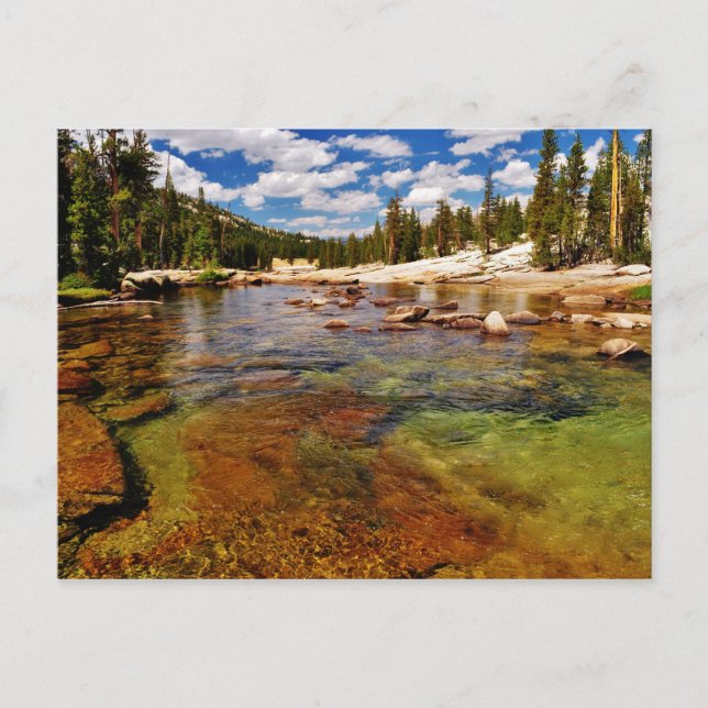 Tuolumne River, Yosemite. Postcard (Front)