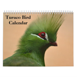 Turaco Bird 2026 Calendar