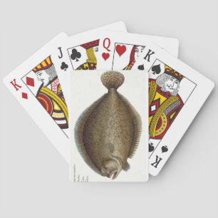 Turbot (Pleuronectes Maximus) plate XLIX from 'Ich Playing Cards