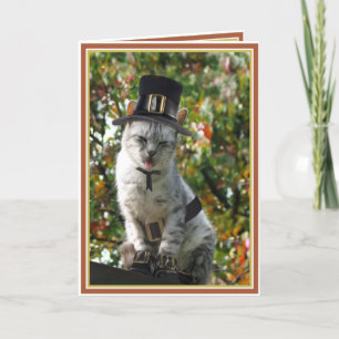 TURKEY AGAIN? Thanksgiving Pilgrim Cat Holiday Card